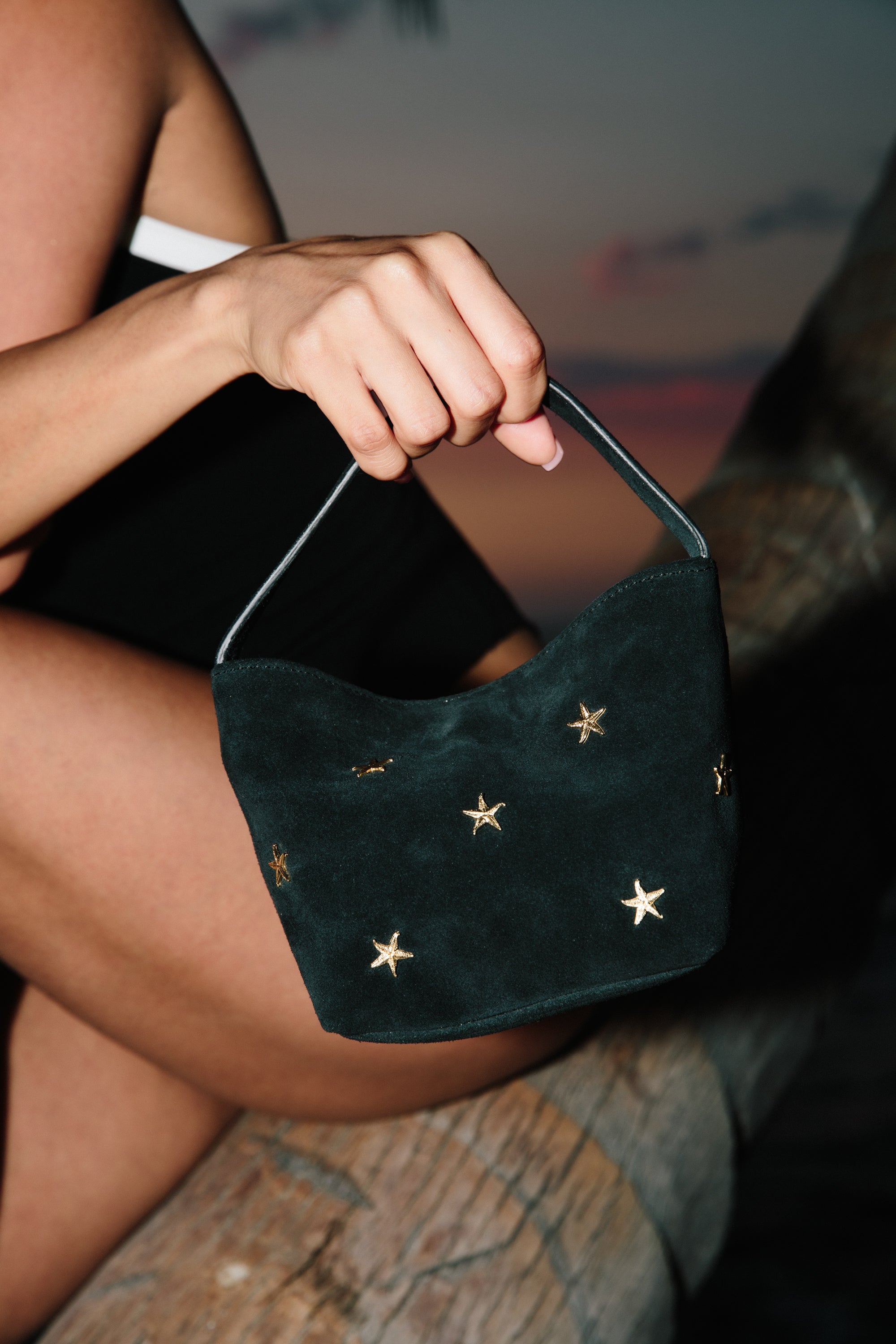 El Mini en Estrella de Mar