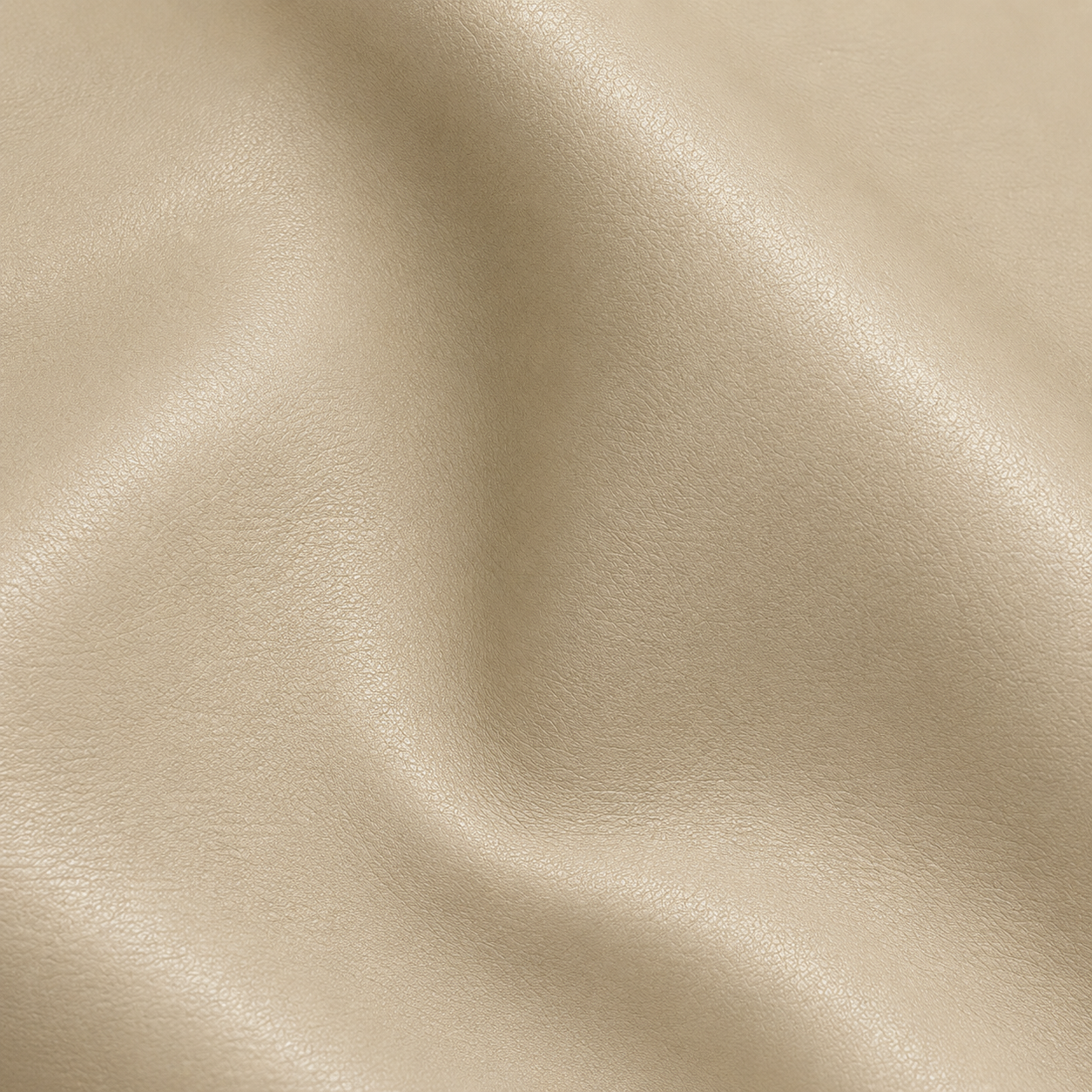 IVORY.png