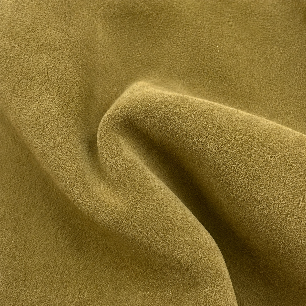 OLIVE.png
