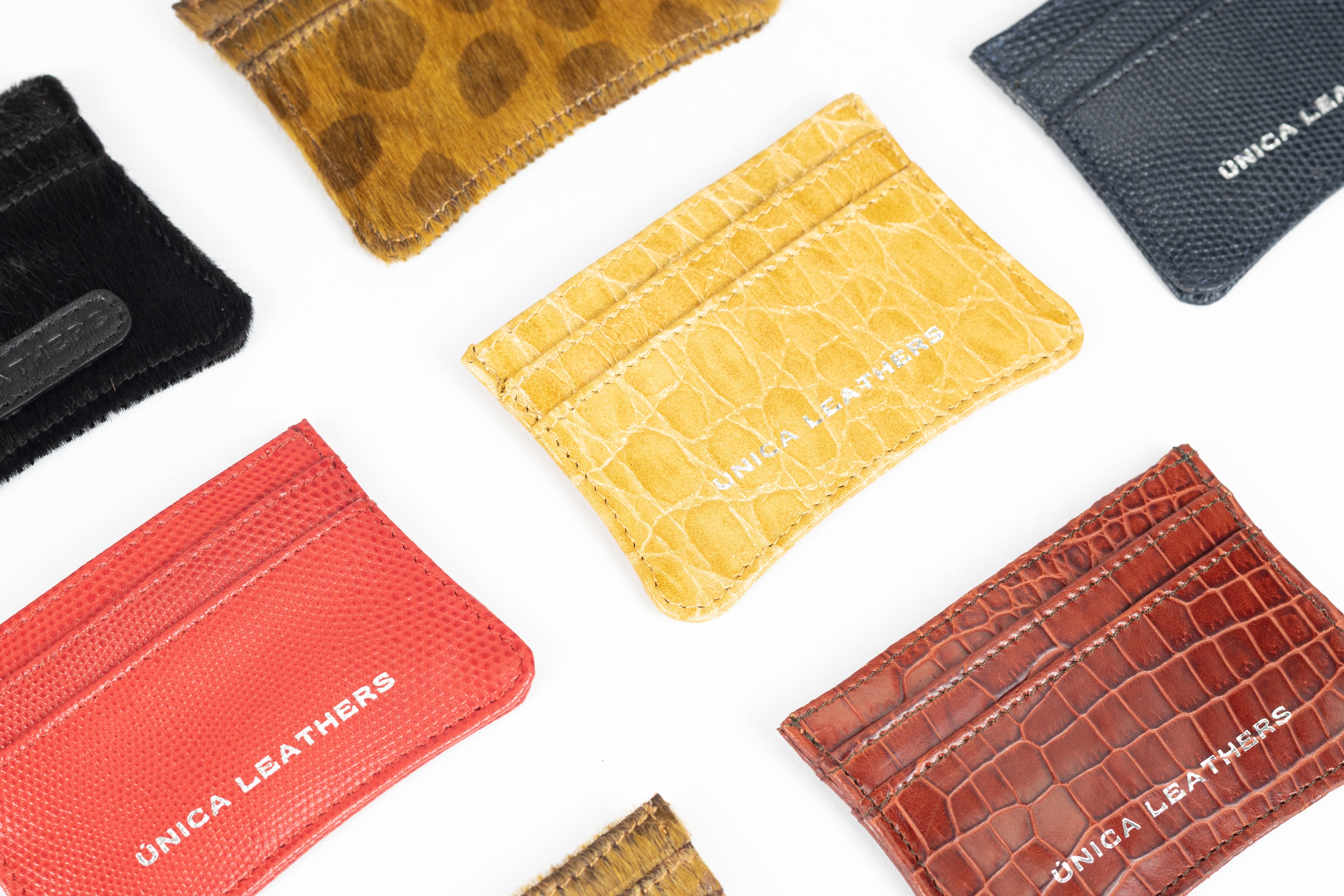 Card Holder in Cheetah